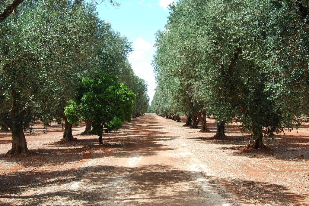 Séjour à la ferme Terra Di Leuca *