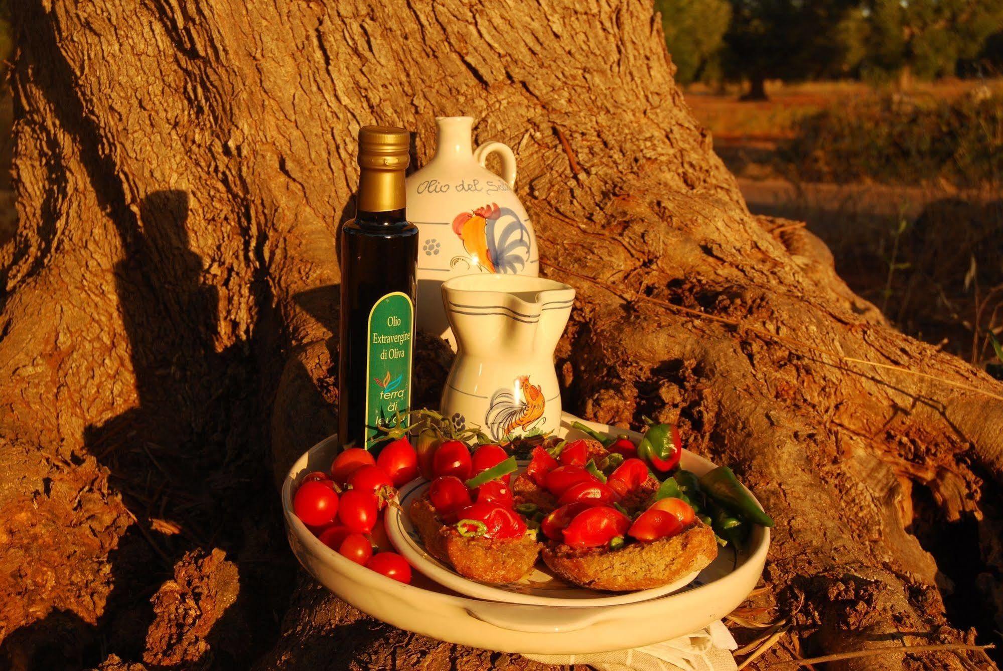 Terra Di Leuca Séjour à la ferme Salve