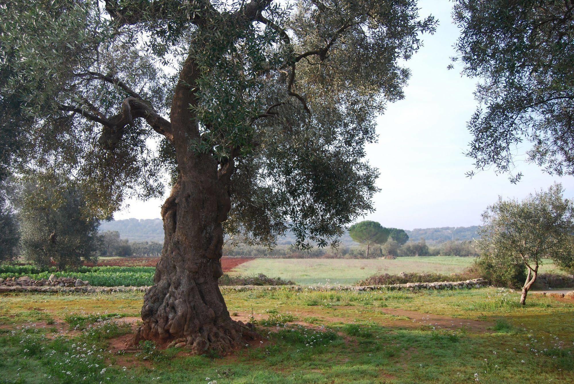 Terra Di Leuca Séjour à la ferme Salve